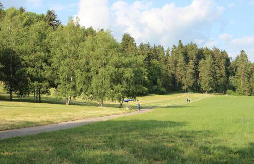 Kapfwald Appartements - Foto 9