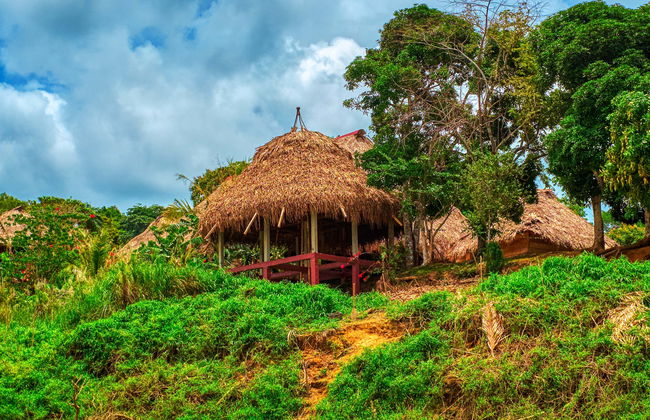 Excursión privada desde Ciudad de Panamá - Foto 2