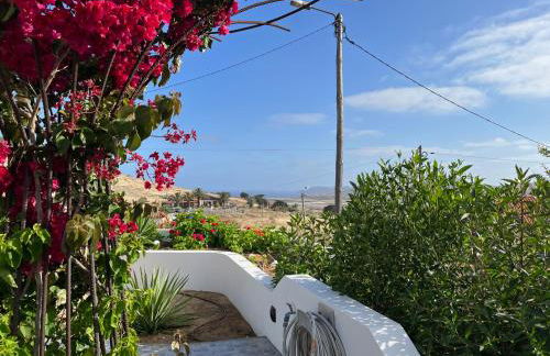 Casa das Malvas - Foto 54