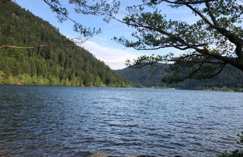 Chalet O FIL DE LO - wifi, BBQ, parking - Foto 19