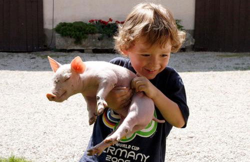 Bio-Ferienhof Scheckenbauer - Foto 32