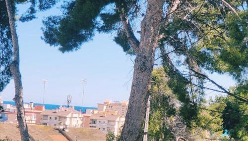 Apartaments Segur Kandy 1 - Photo 3