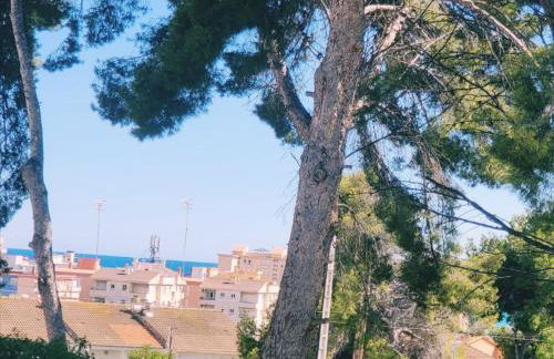 Apartaments Segur Kandy 1 - Foto 13