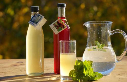 Waalhof Ferienwohnung Kastanie - Foto 20