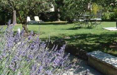 L’Olivier - Foto 19