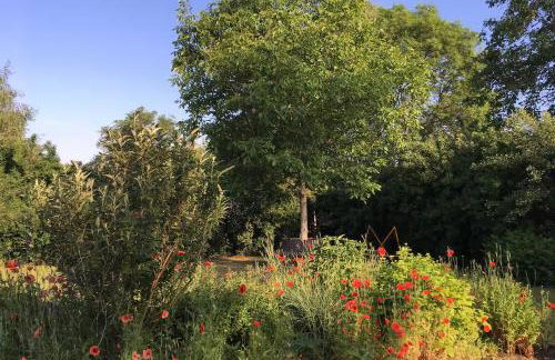 Landidyll - Bauernhaus Ländchen Bellin - Photo 41
