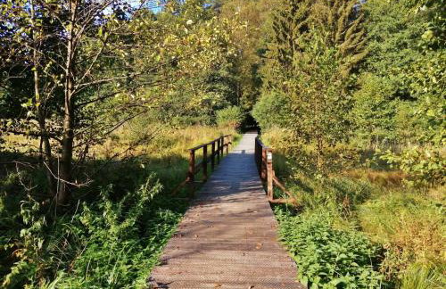 Wigierski Park Narodowy - Foto 46
