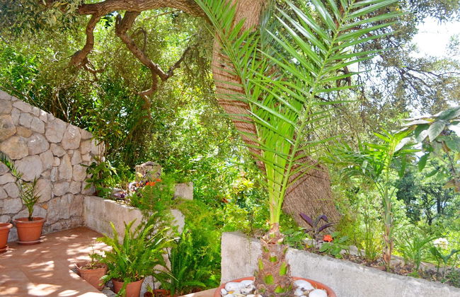 Apartments Martiva - Photo 6