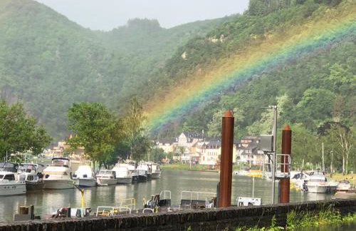 Moselburgblick - Foto 16