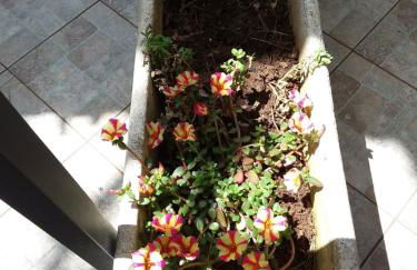 Villetta Il Pino - Foto 29