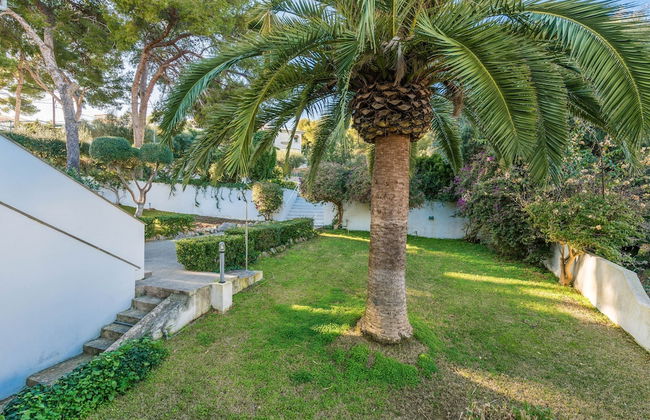 Sun Of Alcanada in Alc dia - Foto 21