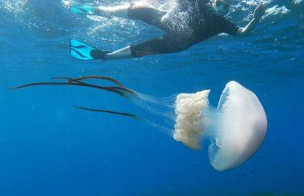 Vientos y Mares - Foto 40