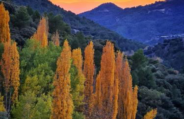 Saluda Alta - Foto 6