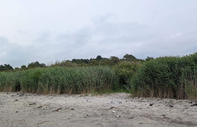 4 Person Holiday Home in Allingabro-by Traum - Foto 24