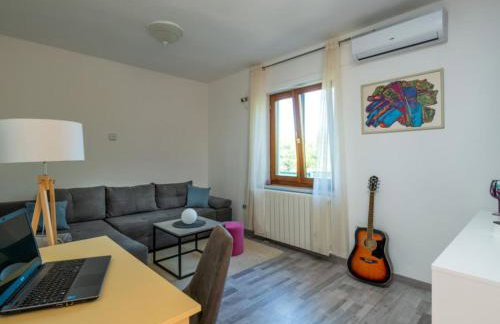 Breg Ivanovci - Three Bedroom Villa with Swimming Pool - Photo 8