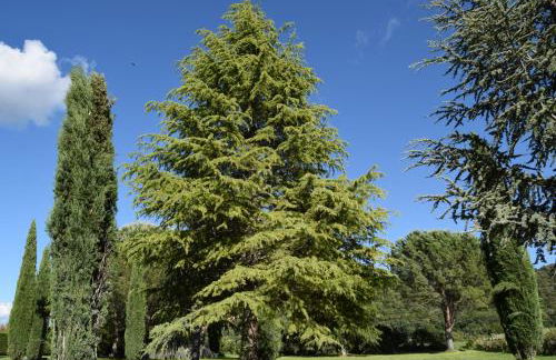 Gite Le Figuier - La Roseraie du Val'ensoleillé - Photo 26
