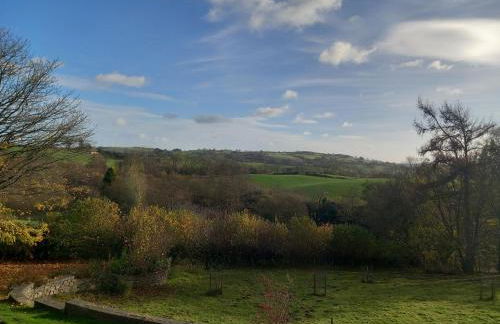 Bryn Y Garreg Cottage - The Wireless Tech Free Farm - Photo 44