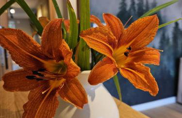 Apartamenty Zdrojowa 6 - Foto 12