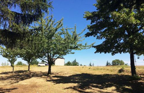 Cascina Baracico, circondati dalla natura - Foto 51