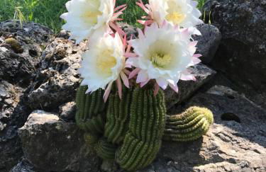 Agriturismo a casa di Susanna - Foto 66