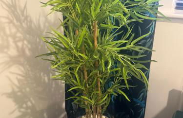 2BR Apt FREE parking Royal Lpool Golf Course Views - Foto 38