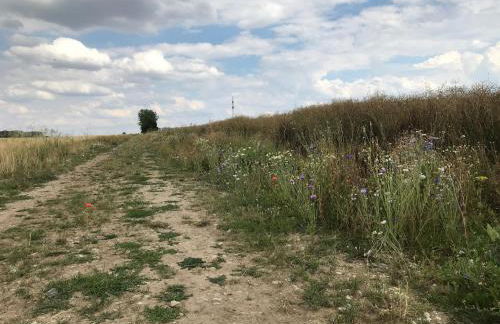 Ferienwohnung Pappelwiese - Foto 22