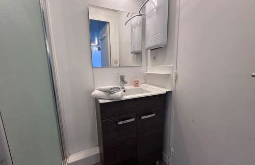 Les Lofts vue Port Guillaume - Foto 15