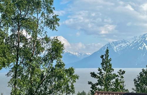 Indian AK 25 min to Anchorage & 25 min to Girdwood - Foto 65