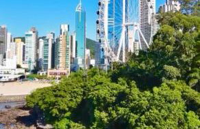 FLAT DUBAI - FRENTE RODA GIGANTE - PISCINA FRENTE MAR - Excepcional - Foto 12