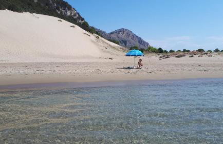 Villa Dunes 350m from the sandy beach - Foto 31