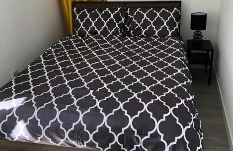 Sancerre Sunflower - Tournesol de Sancerre - Foto 6