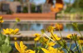 Ferienwohnung „Waschköök“ - Hof Mühlenkoppel - Foto 32