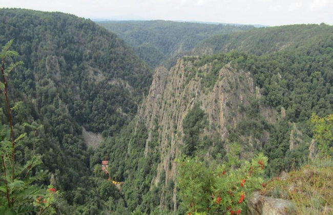 Fenced Garden, Friedrichsbrunn - Photo 40