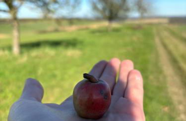 Panorama-Auszeit in Trierweiler - Foto 33