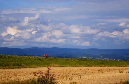 Cottage Living - Foto 54