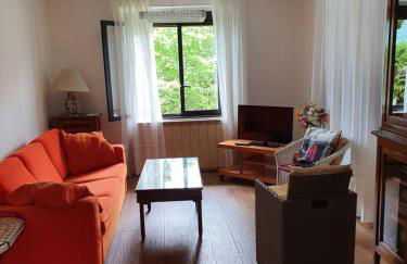 Le palme Antonella - Foto 24