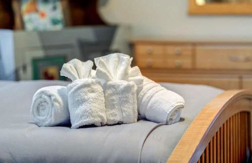 Hot Tub Fireplace Fire Pit Game Room & More - Foto 21