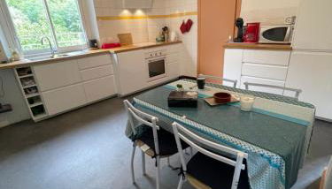 appartement à Tarascon sur Ariège le Sabart - Foto 3, stove