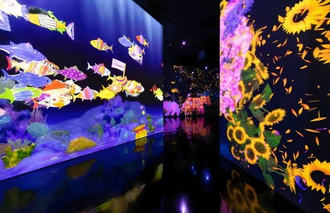 Entrada al Museo de Arte y Ciencia de Singapur - Foto 3
