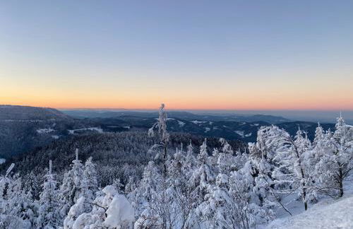 Schwarzwald Wohnung Kniebis - Foto 25