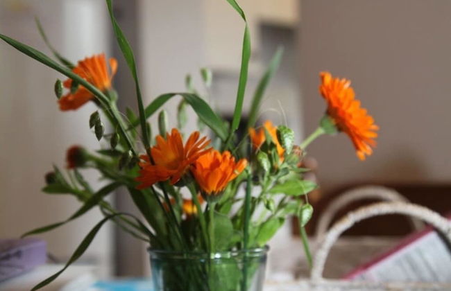 Green Cottages - Foto 26