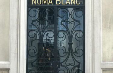 NUMA BLANC 300 M PALAIS DES FESTIVALS - Foto 9