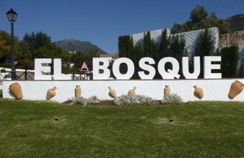 El Retoño - Photo 20