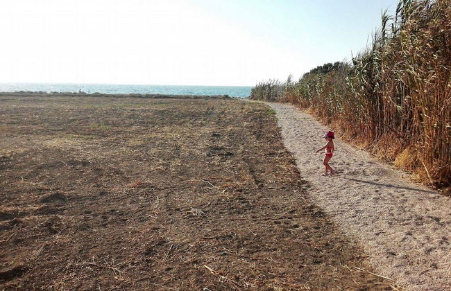 Nautilus Beach House - Foto 23