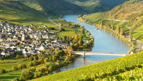 Apartment in Zell an der Mosel - Photo 3