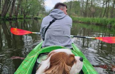 Domki na wodzie Warmińskie Pompeje - Foto 21