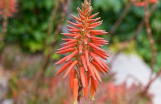 Agriturismo San Michele di Danio Giovanni - Foto 26