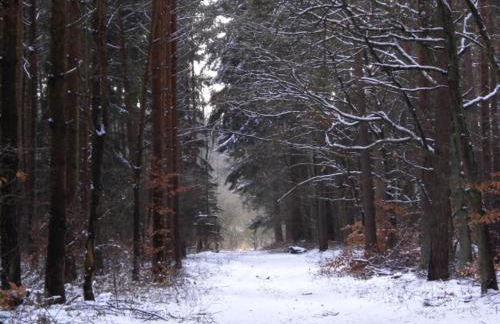 Landhaus Questin - Photo 26