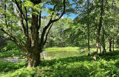 Red Tail Ridge - Foto 51