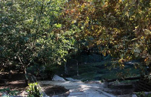 Charming Studio in Marco de Canaveses - 25m² with Pool - Foto 29